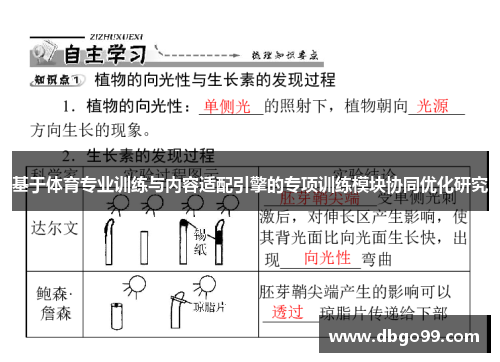 基于体育专业训练与内容适配引擎的专项训练模块协同优化研究